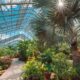 Botanical Conservatory Raise a Glass