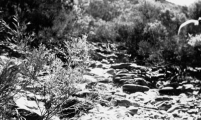Delphi Murders Case
