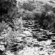 Delphi Murders Case