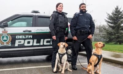 Delta police dog rescue