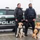 Delta police dog rescue