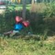 Leo-Cedarville Crash