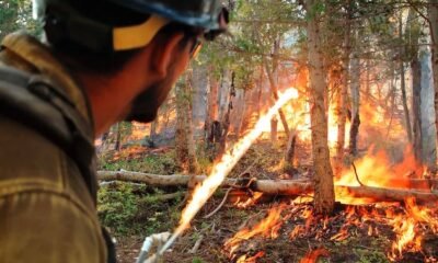 colorado firefighters battling alaska wildfire