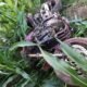 huntertown woman injured in motorcycle crash
