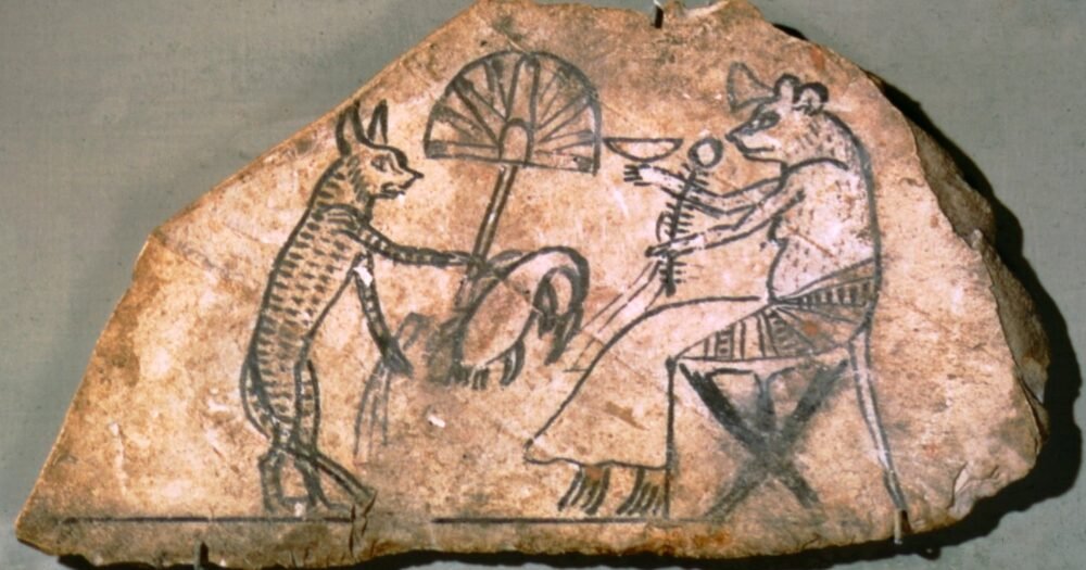 medieval cat skinning archaeological discovery Portugal