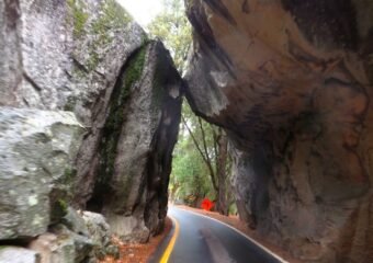alpine tunnel road palisade wall reconstruction