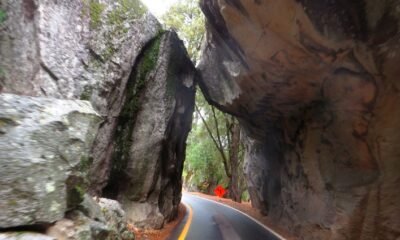 alpine tunnel road palisade wall reconstruction