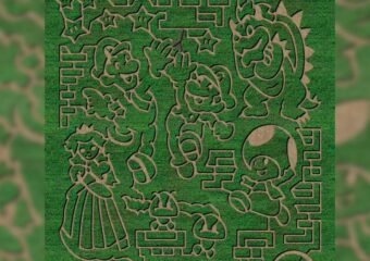 amazing fall fun 2024 corn maze design