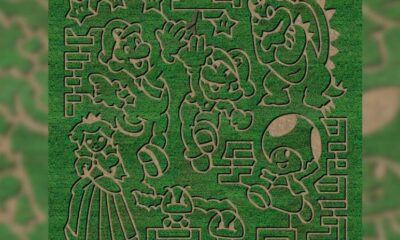 amazing fall fun 2024 corn maze design