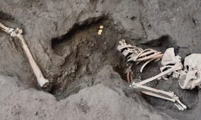 archaeologists uncover remains of family in pompeii