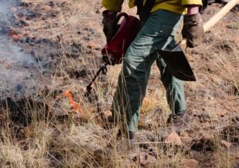 bucktail fire near nucla colorado 2024