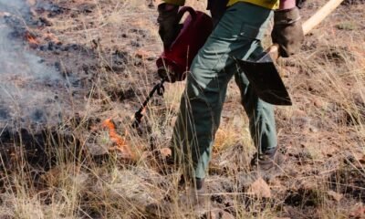 bucktail fire near nucla colorado 2024
