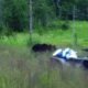 colorado human bear conflict reduction grant recipients