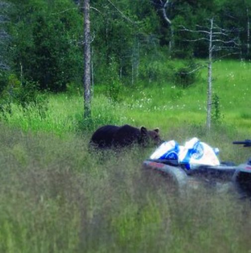 colorado human bear conflict reduction grant recipients