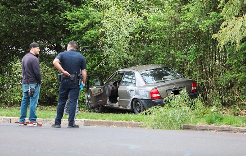 hit and run incident lansdale 2024