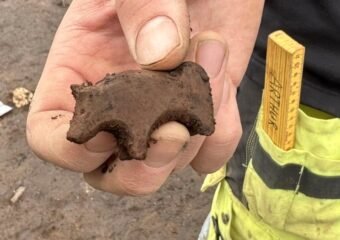 medieval animal toy discovered in seydisfjordur iceland