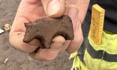 medieval animal toy discovered in seydisfjordur iceland