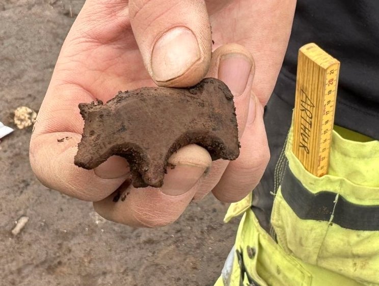 medieval animal toy discovered in seydisfjordur iceland