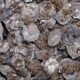 medieval coin hoard discovered in glottertal germany