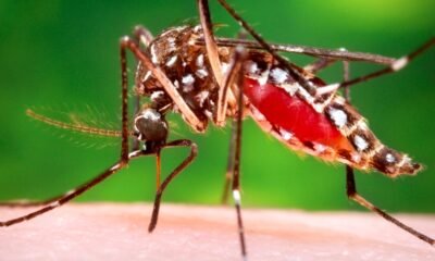 mosquitoes carrying west nile virus in multiple counties
