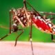 mosquitoes carrying west nile virus in multiple counties