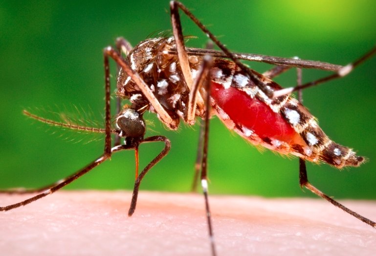 mosquitoes carrying west nile virus in multiple counties