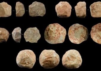 prehistoric stone balls used by early humans for bone marrow extraction