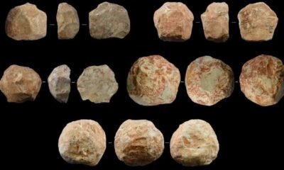 prehistoric stone balls used by early humans for bone marrow extraction