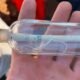 200 year old note found in dieppe france archaeology