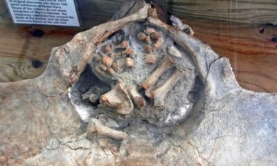 ancient child skeletons discovery domuztepe mound turkiye