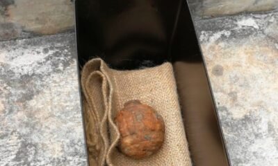 century-old world war i grenade found in hong kong potato chip factory