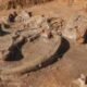 columbian mammoth bones discovered in texas