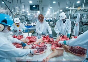 denver slaughterhouse ban initiative 2024