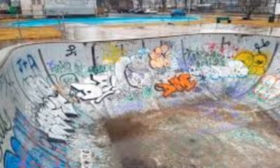 fort wayne artist custom skateboard designs 2024