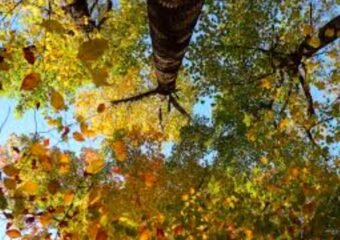 grand junction urban heat island mitigation strategies