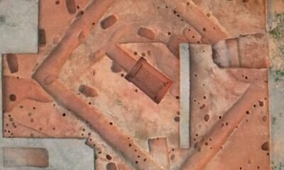 guangdong zoo ancient tombs discovery