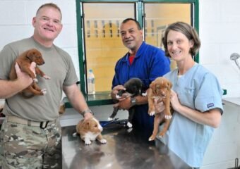 humane fort wayne no kill shelter recognition 2024