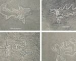 new nazca lines discovery peru 2024