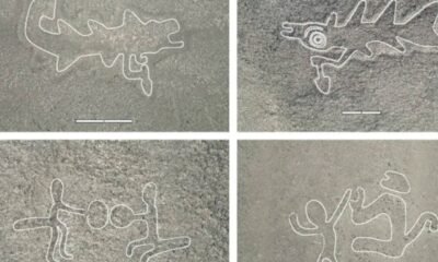 new nazca lines discovery peru 2024