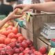 salomon farm farmers market closure 2024