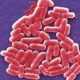 E. Coli Outbreak in Mesa County