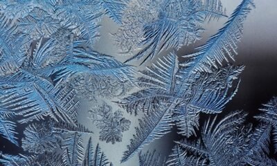 Understanding Frost and Freeze Patterns