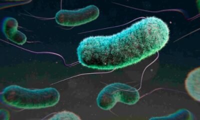 e-coli-outbreak-colorado-health-officials