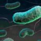e-coli-outbreak-colorado-health-officials