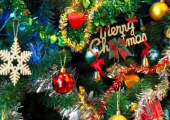 Boy Scouts Christmas tree lot sale Meadowlark Garden Center