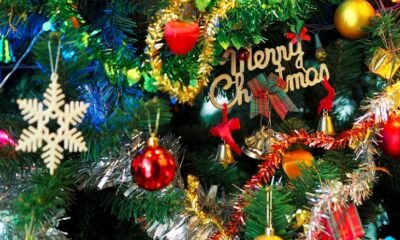 Boy Scouts Christmas tree lot sale Meadowlark Garden Center