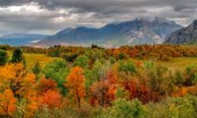 Canyon View Park Grand Junction maintenance petition