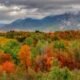 Canyon View Park Grand Junction maintenance petition