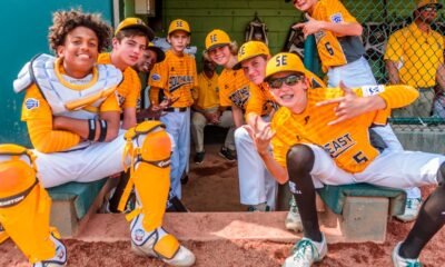 Elmhurst Little League Park vandalism teens