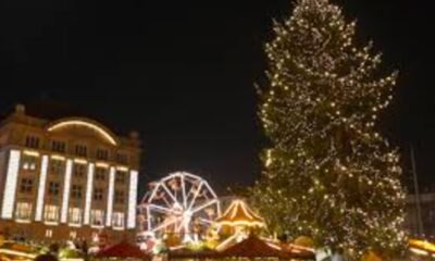 Grand Junction downtown tree lighting festive decorations